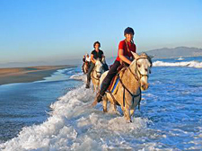 Spain-Catalonia-Wild Coast Wine Trail